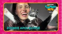 Countdown: The Funniest Pets | Zoomie Apocalypse