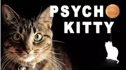 Psycho Kitty