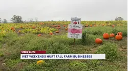 Rainy weekends impacting local farms during fall harvest season