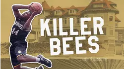 Killer Bees