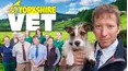 The Yorkshire Vet