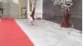 Kids Do The Craziest Things