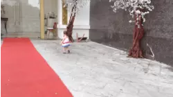 Kung Fu Kid