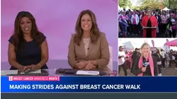 Making Strides Against Breast Cancer walks return to Central Park, on Long Island