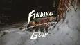 Finding Gulo