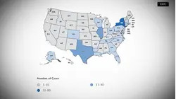 Connecticut cases of intestinal parasite rise to 30, health department says