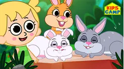 Sleeping Bunnies