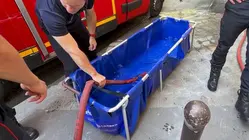 France Sets Up Emergency Cooling Baths Amid Scorching Heat