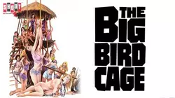 The Big Bird Cage