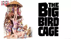 The Big Bird Cage
