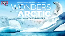 Wonders Of The Arctic