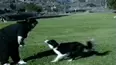 Funniest Pets & People