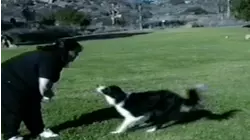 Cool tricks
