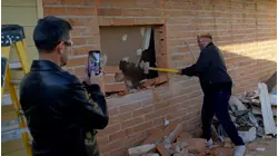 Triple Digit Flip: What would the Cardones Do? -- Triple Digit Flip