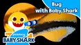 Zoom Zoom Zoom with Baby Shark