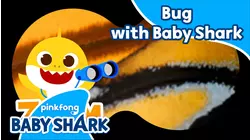 Bug with Baby Shark