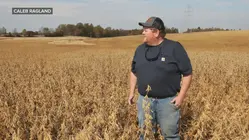 Soybean farmer on the impact of Supreme Court decision overturning most tariffs