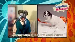 Goodies VS. Baddies | Singing Superstars & Mess Masters
