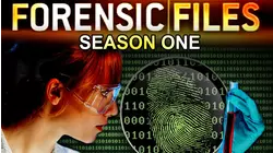 The Disappearance of Helle Crafts