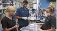 The Yorkshire Vet
