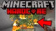 Minecraft Hardcore Survival