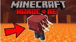 Nether Wart and Strider Mob Discussion! (Minecraft Hardcore Survival) - Part 16