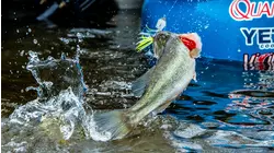 Brian to Bryan Fishing