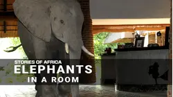Stories of Africa: Elephants in the Room