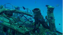 MEXICO'S ARIFICIAL REEFS