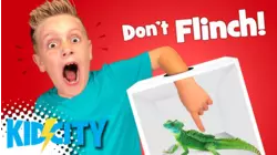 KidCity's Don't Flinch Mystery Box Challenge!