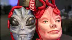 Magical and Mysterious Cakes