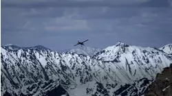 Alaskan Bigfoot