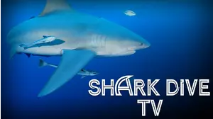 Shark Dive TV