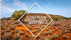 Sonoran Vistas