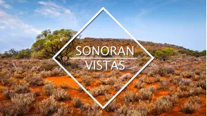 Sonoran Vistas