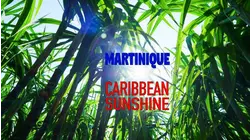 Martinique: Caribbean Sunshine