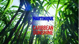 Martinique: Caribbean Sunshine