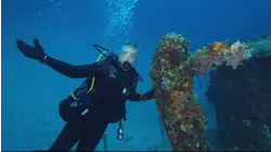 How To Do Shipwreck Park