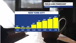 Another frigid day in Brooklyn; temps to rebound next week