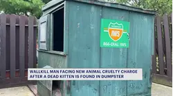 Wallkill man faces new animal cruelty charge after kitten found dead