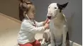 Animals Unscripted