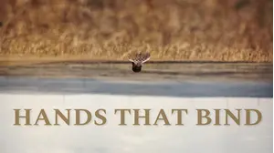 Hands That Bind