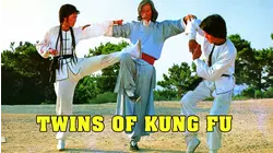 Twins Of Kung Fu
