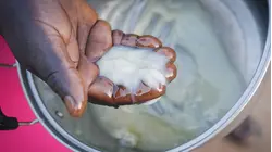 Why East African Shea Butter Is So Expensive