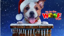 Up on the Wooftop