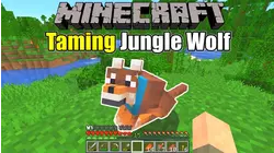 Taming Pets