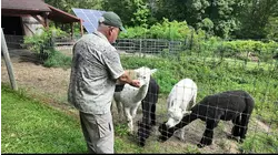 Visit scenic Chester and meet a herd of adorable alpacas