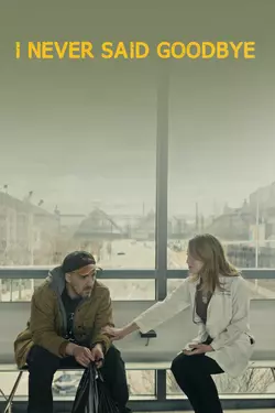 I Never Said Goodbye