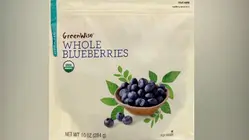 Frozen Blueberries Recalled in 8 States Due to E. Coli Risk