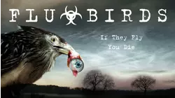 Flu Birds